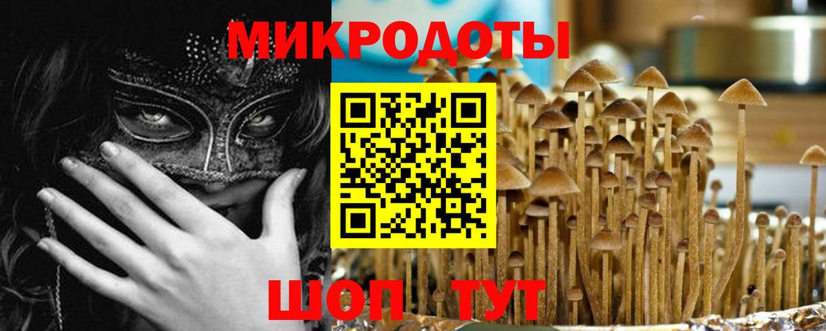 Рыбинск  Псилоцибиновые грибы Psilocybe  Вход с VPN  Галлюциногенные грибы прущие грибы 